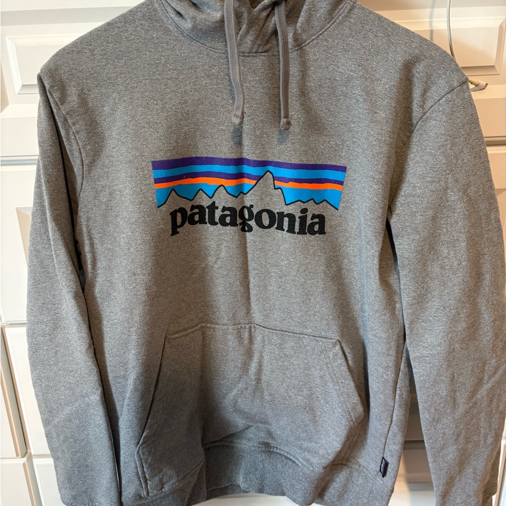 Patagonia Gray Hoodie with Multicolor Mountain Logo